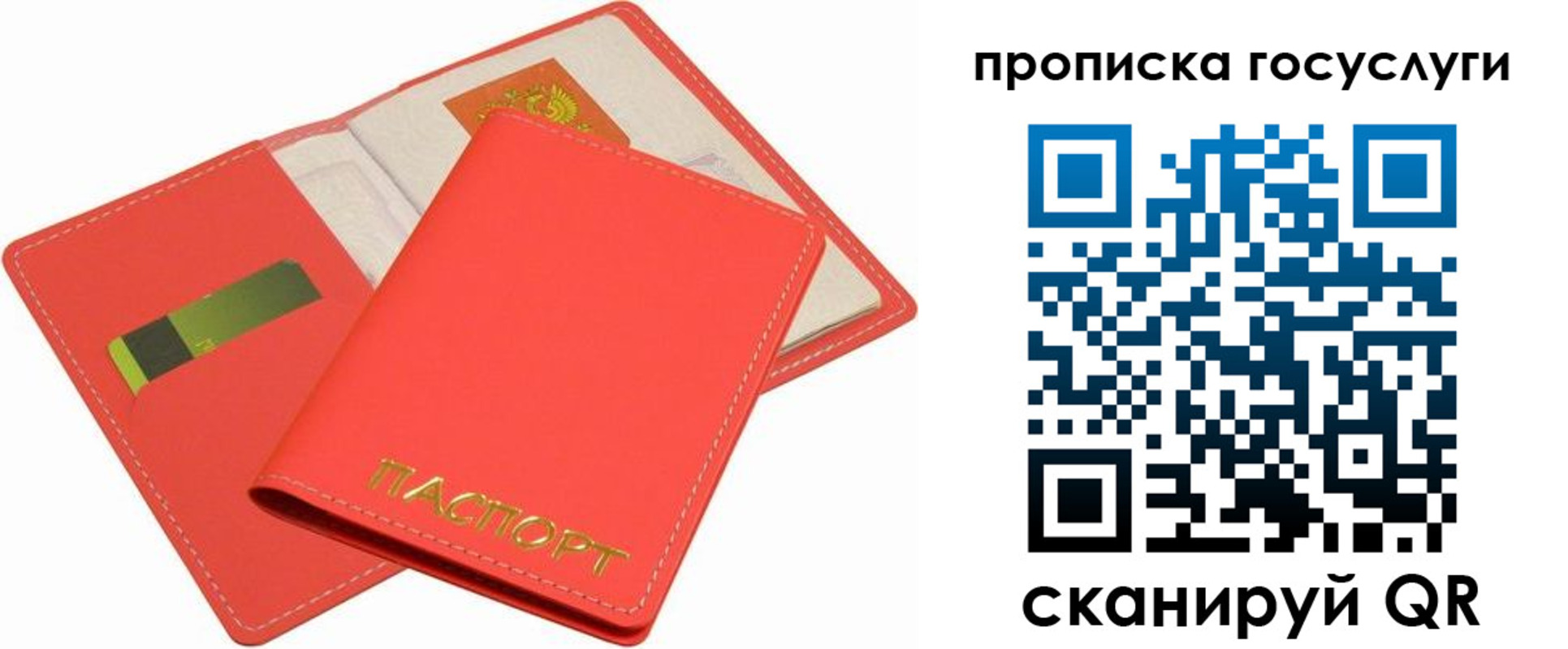 прописка иностранных граждан в Лыткарино